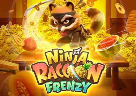 Ninja Raccoon Frenzy